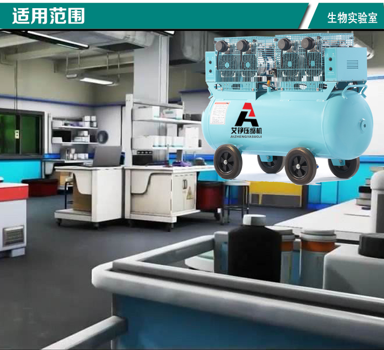 微型無(wú)油空壓機(jī)
